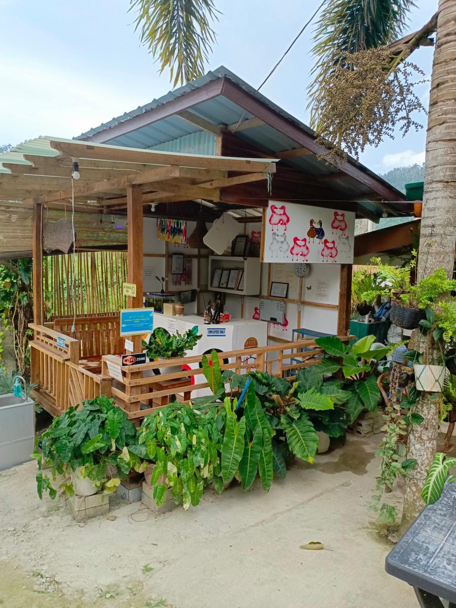 Mil'S Hillside Tourist Inn サン・ヴィチェンテ エクステリア 写真